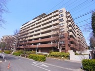 5201.jpg